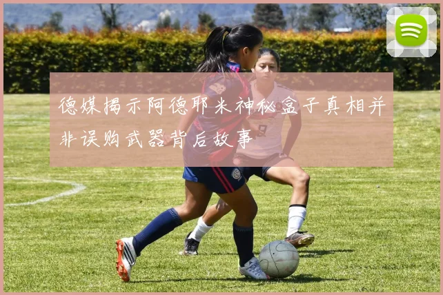 德媒揭示阿德耶米神秘盒子真相并非误购武器背后故事