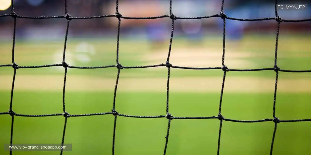 全球直播，与你同步心跳！📺👀